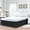 Black Solid, variant on Wrap Around Bedskirt with 22 Inch Tailored Drop, Hotel Quality Dust Ruffle Bedskirt, Adjustable Three Sides Elastic Belts, 100% Microfiber, Wrinkle Free-Light Blue Solid, Twin-XL Size