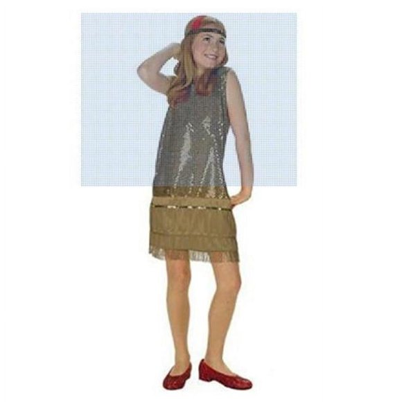 RG Costumes 91148-SV-L Robe Enfant à Paillettes - Argent, Grand