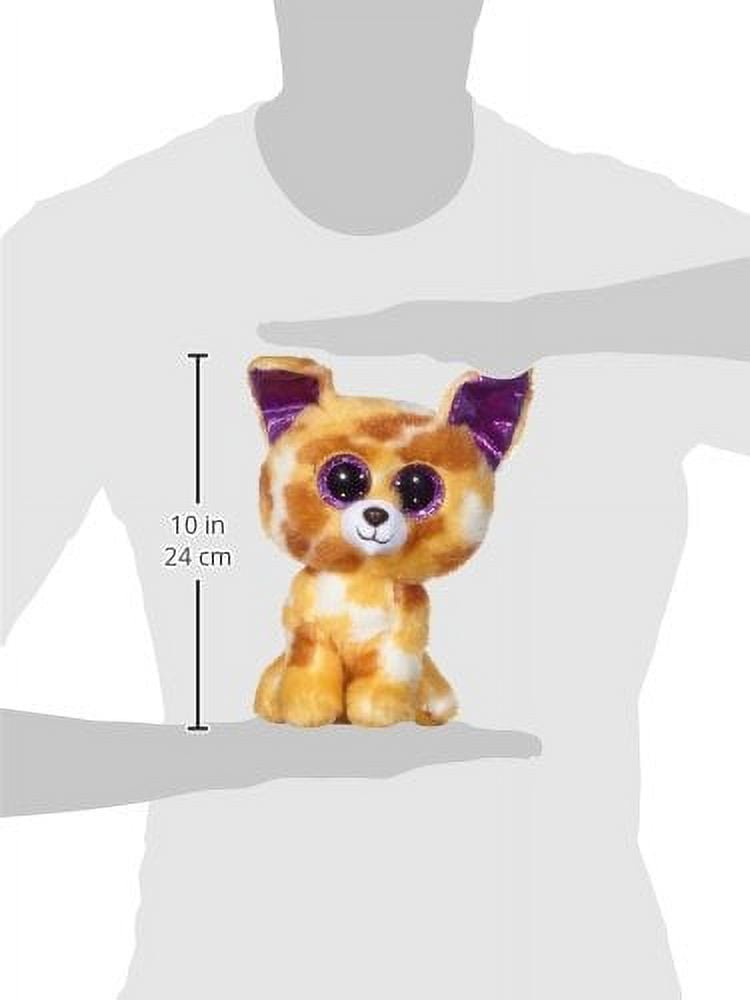 Pablo the best sale chihuahua beanie boo