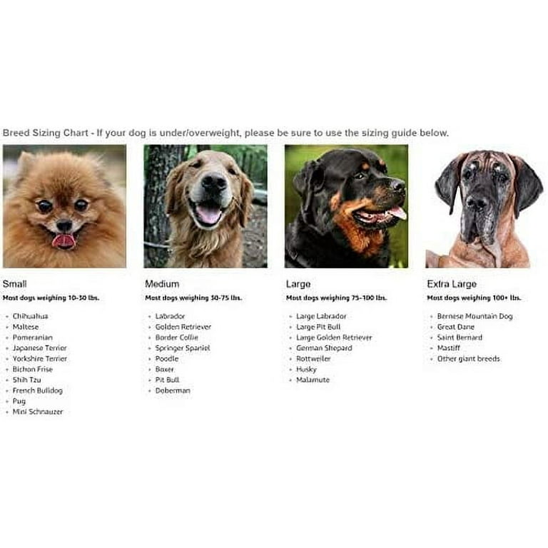 Heat guard for dogs 2025