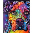 thumbnail image 2 of Dean Russo Collection 20x24 Black Ornate Wood Framed with Double Matting Museum Art Print Titled - American Bulldog 121609, 2 of 4