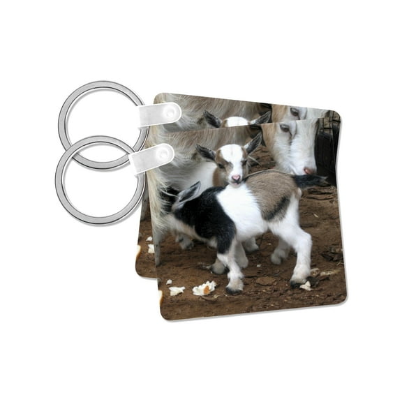 3dRose, Pygmy goat family, set of 2 Key Chains