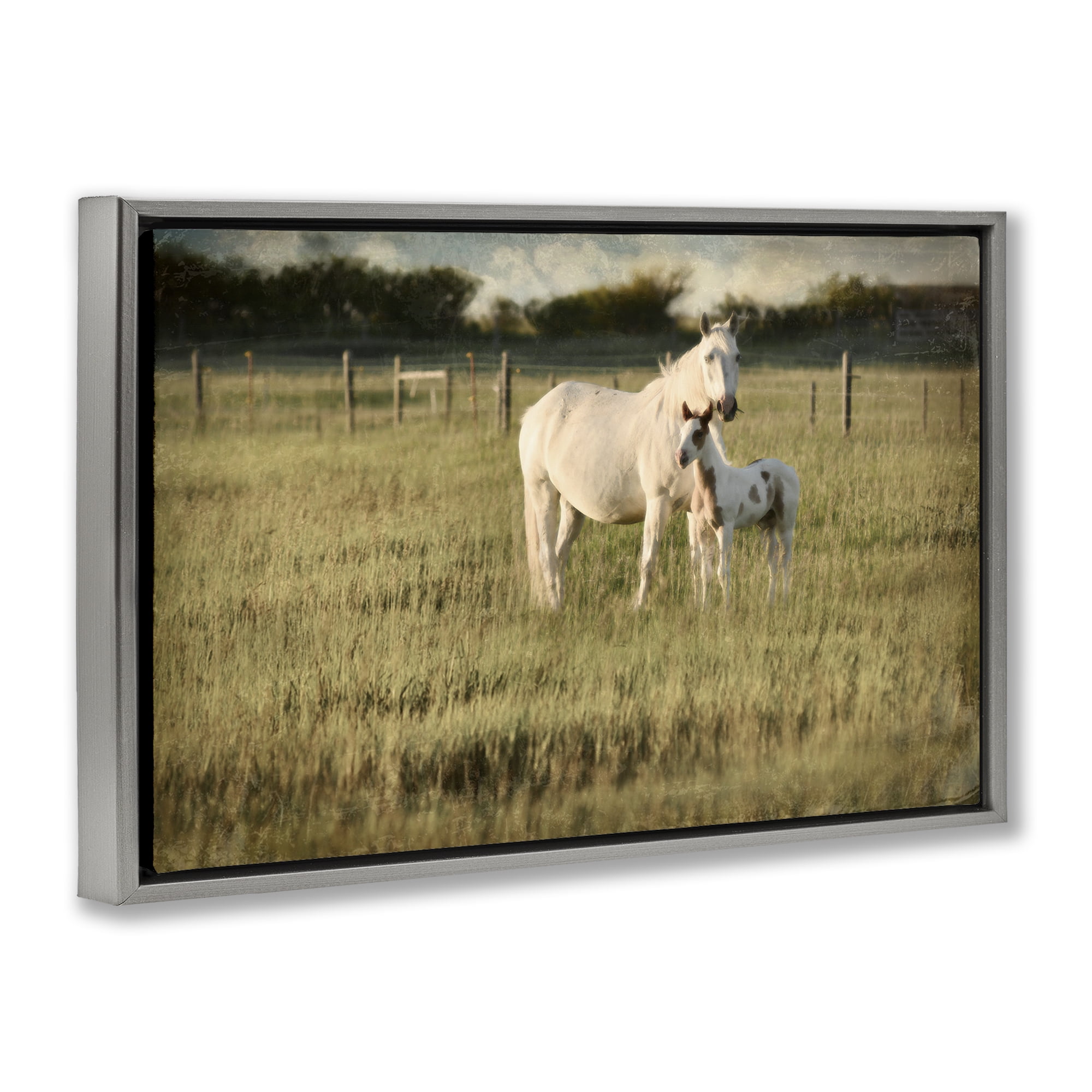 Stupell Industries Rural Horse and Foal Landscape Photography Gray Floater Framed Canvas Art Print Wall Art, 25 x 17