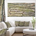 thumbnail image 1 of Thick Tree Skin Close Up - Large Floral Canvas Art Print, 1 of 3