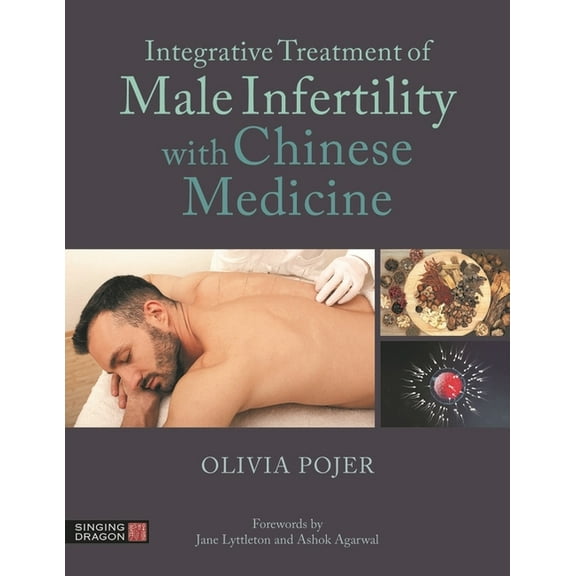 Integrative Treatment of Male Infertility with Chinese Medicine, (Paperback)