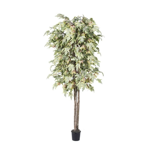 Vickerman 6' Artificial Frosted Maple Deluxe, Black Plastic Pot