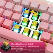 AULA Hero 68 HE 60% Wired Gaming Keyboard with Hall Effect Magnetic Switches, Adjustable Actuation, Rapid Trigger, RGB Backlight, Pink Gradient( Side-Printed, Black king Switch)