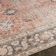 thumbnail image 3 of Livabliss Washable Rugs for Living Room, 3x7 Colin Traditional Dusty Coral Runner Area Rug, Bedroom Dining Room Home Decor Stain Resistant Carpet (2'7" x 7'3" Runner), 3 of 10