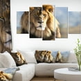 thumbnail image 1 of Fierce Face of King of the Wild - African Canvas Art Print, 1 of 3