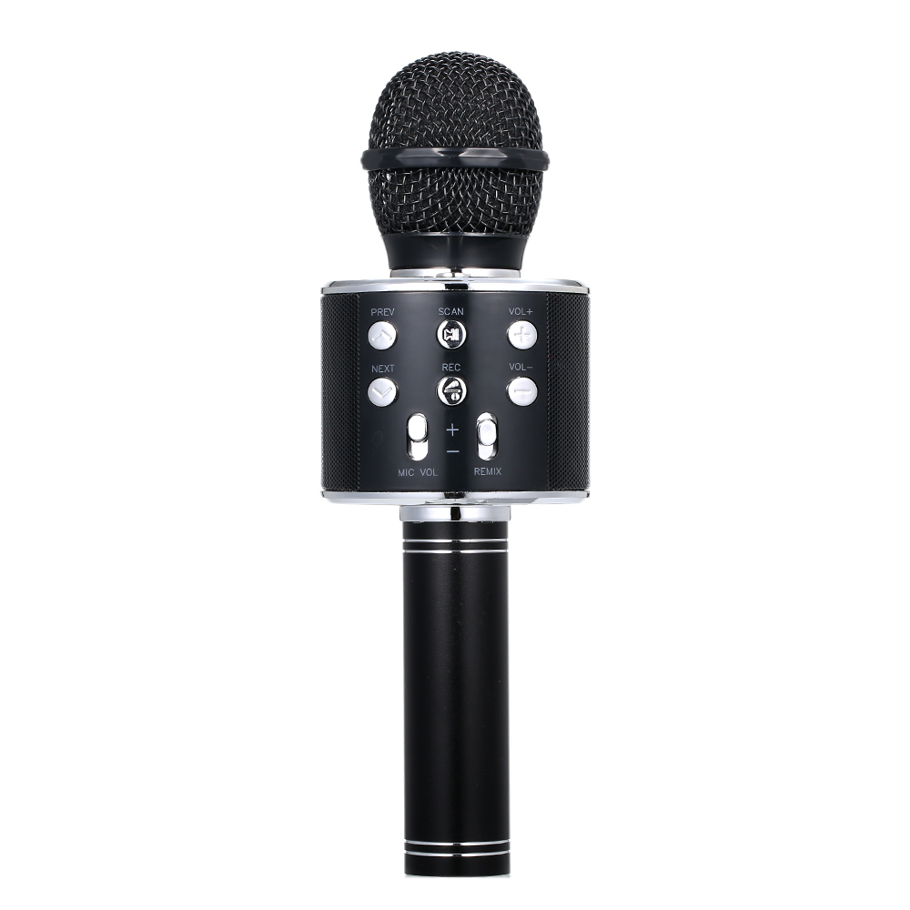mic with speaker for singing
