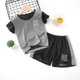 thumbnail image 1 of Hot Sale Brand Boys Clothing Children Summer Boys Clothes Cartoon Kids Boy Clothing Set T-shit+Pants Cotton qym unisex, 1 of 2