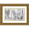 thumbnail image 1 of Talen, Nel 14x10 Gold Ornate Wood Framed with Double Matting Museum Art Print Titled - Black and white, 1 of 4