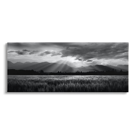 Stupell Industries Sun Rays Field Landscape Landscape Photography Gallery Wrapped Canvas Art Print Wall Art, 24 x 10