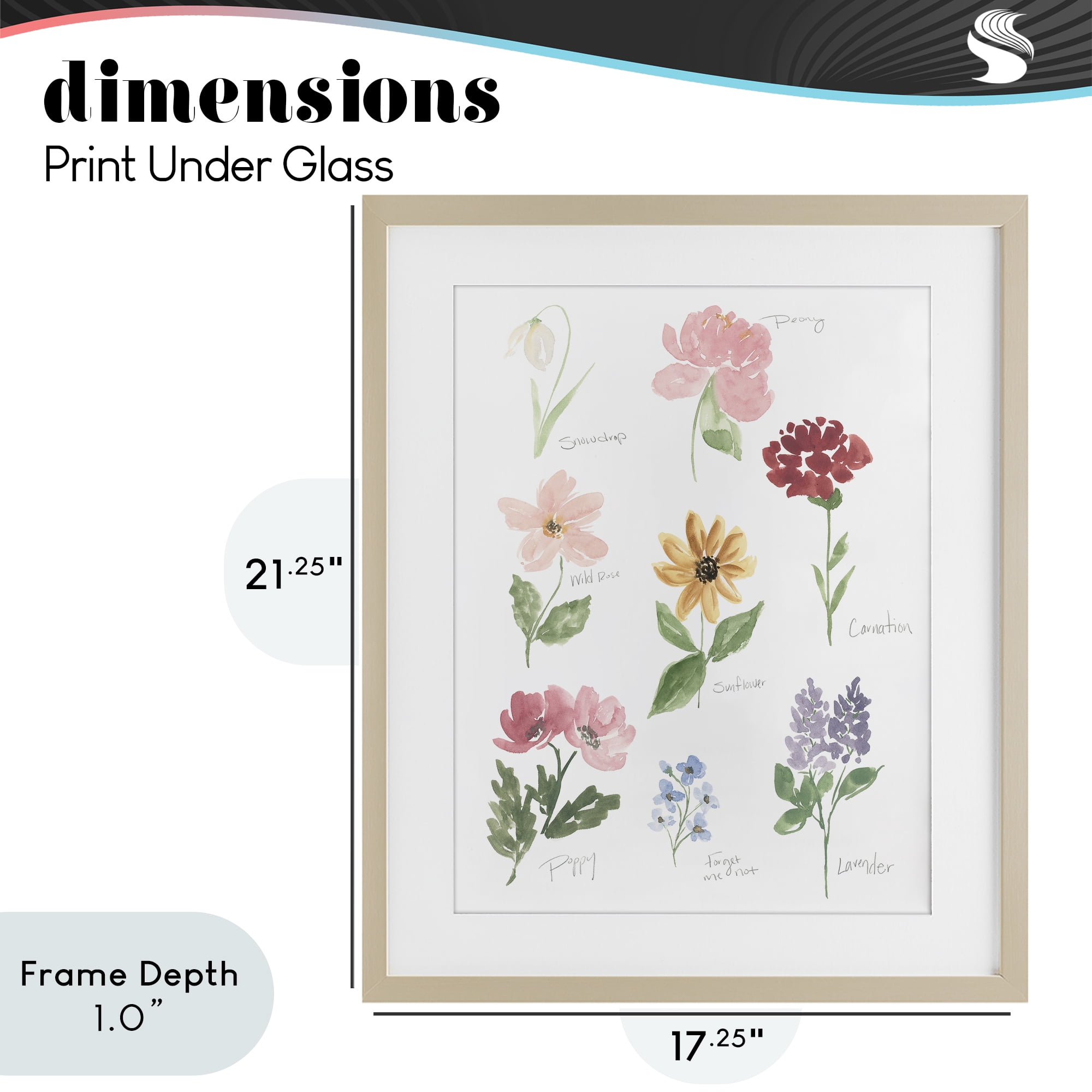 Stupell Industries Labeled Flower Varieties Birch Framed Print Under Glass, design by Lucille Price