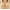 Khaki, variant on Bras Clearance for Women,Ladies Bras,Women's Bra New Front Buckle Anti-Sagging Plus Size Thin Underwear