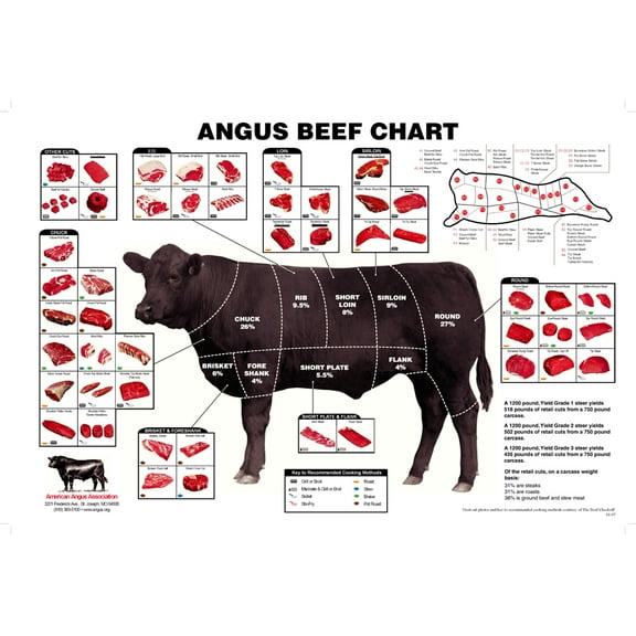 Angus Beef Chart Meat Cuts Diagram Poster 11in x 17in Mini Poster 11 x 17 poster