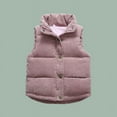 thumbnail image 5 of AherBiu Toddler Boys Clothes Corduroy Vests Button Zip up Stand Collar Sleeveless Winter Jackets Waistcoat, 5 of 5