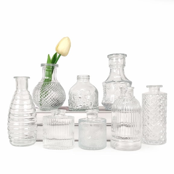 8 Pcs Small Glass Vase Set Bud Vases for Flowers Various Sizes Mini Vintage Vase for Decorative Table Wedding Party Home Transparent