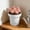 White, variant on Taotanxi 4.7 Inch Mini Plastic Planters Indoor Flower Plant Pots, Pink Gardening Pot with Drainage for All House Plants, Flowers, Herbs, Succulents, NO Plant Included