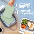 thumbnail image 2 of Cool Coolers by Fit & Fresh XL Slim Ice Packs, Space Saving Reusable Ice Packs for Lunch Boxes, Freezer Packs, Reusable Ice Packs for Lunch Boxes & Coolers, 4pk, Sage, 2 of 10