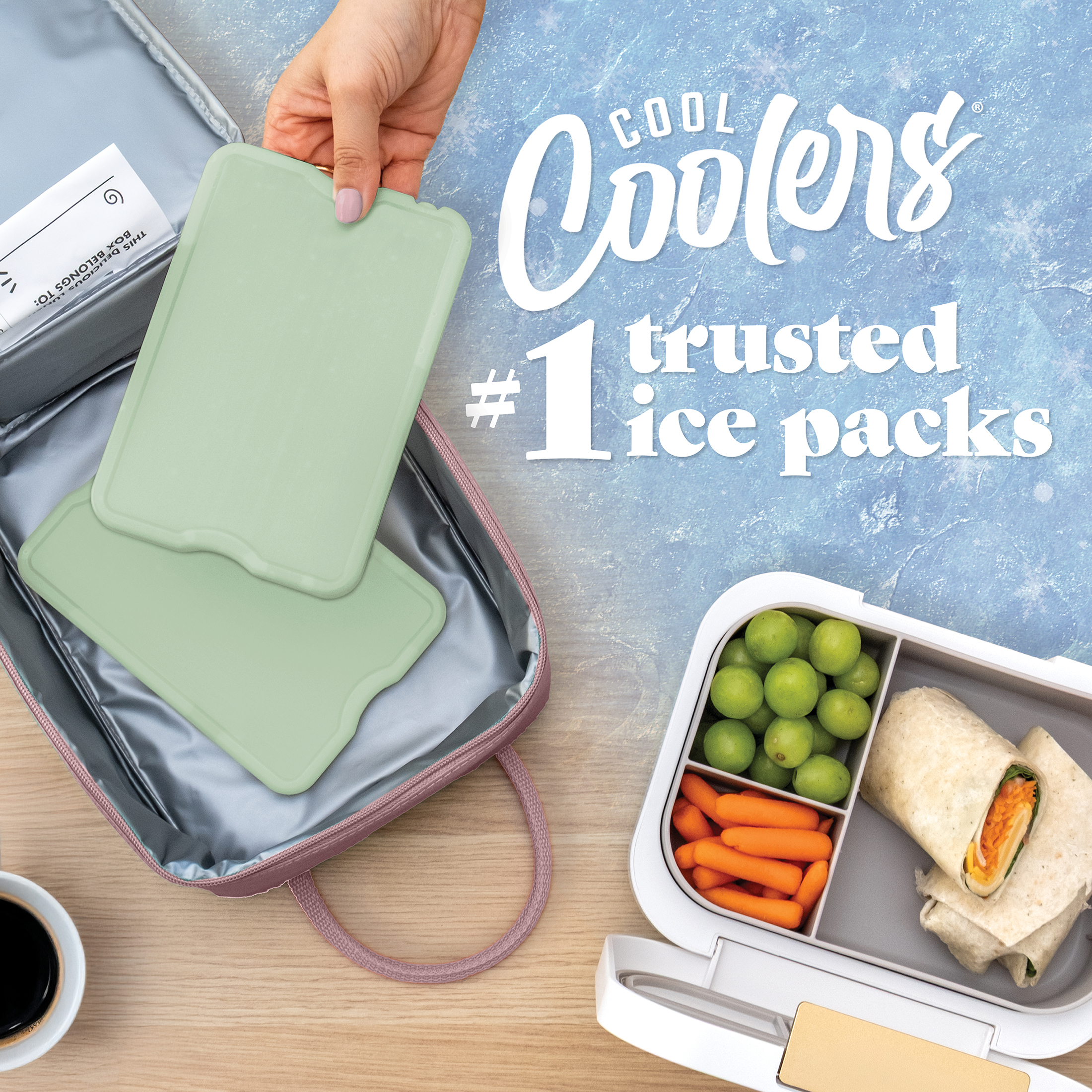 Fit & Fresh Cool Coolers XL Slim Ice Packs, 4-Pack photo 2