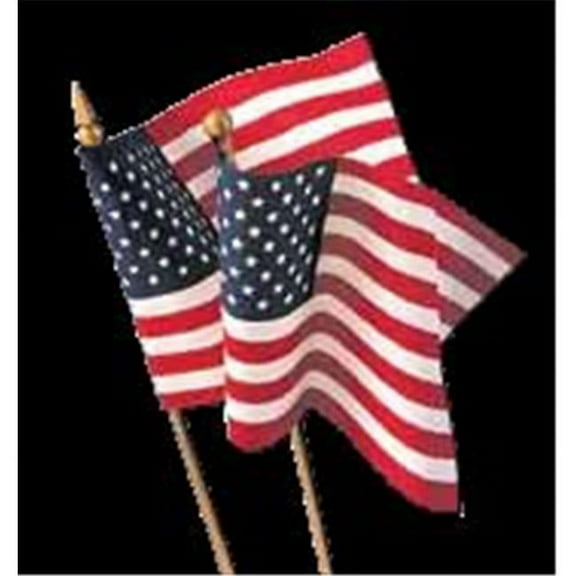 Annin Flagmakers 41390 Vb No Fray Us 12x18 in. 12 Pack