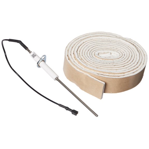Zodiac LXI Flame Sensor R0458600
