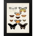 thumbnail image 2 of Vision Studio 19x24 Black Modern Framed Museum Art Print Titled - Vintage Butterflies III, 2 of 5
