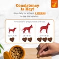 thumbnail image 5 of Zesty Paws Cranberry Bladder Bites Urinary Tract Support Soft Chews for Dogs, 90 Count, 5 of 12