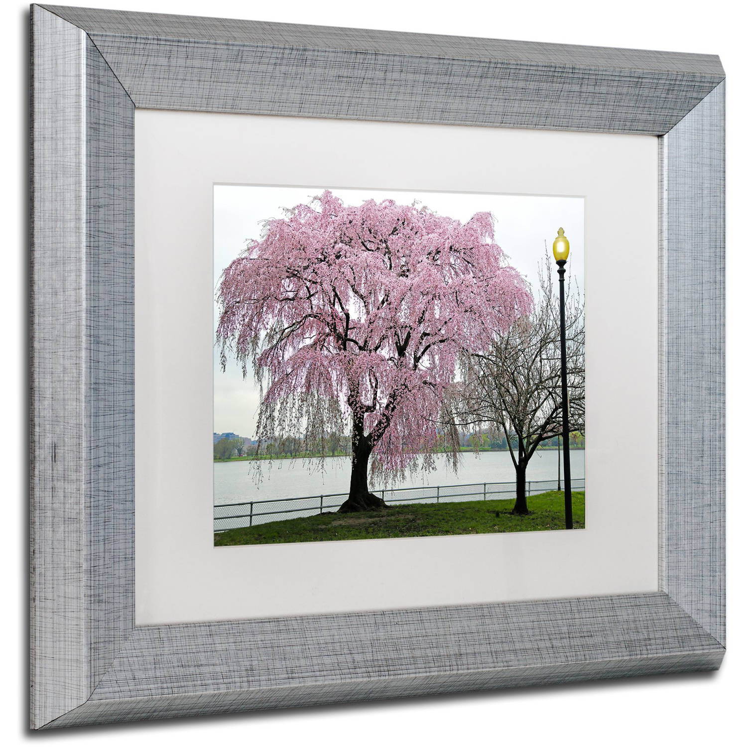 Trademark Fine Art "Cherry Tree" Canvas Art by CATeyes, White Matte, Silver Frame