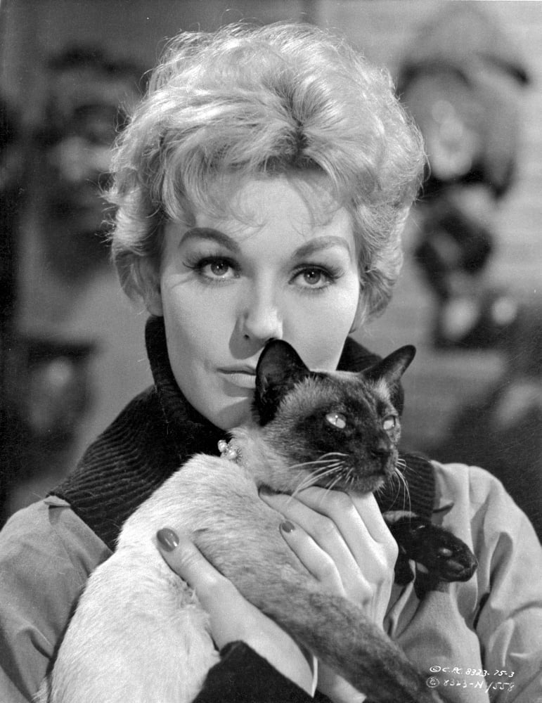 Kim Novak Holding Cat Portrait Close Up Portrait Photo Print (8 x 10 ...