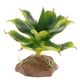 thumbnail image 2 of TERRARIO MULTI PEQUEÑA PNTA RACIÓN DE ES VIVARIUM Yuyangstore Terrería de reptiles, 2 of 8