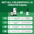 thumbnail image 2 of Chlorophyll Liquid Drops with Copper, Chlorophyll Supplement, Detox & Immune Support,Antioxidant & Digestion Support,2 fl oz, 2 of 7