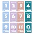 thumbnail image 1 of LCXmlly Baby Month Stickers Unique Design Baby Milestone Cards Smooth Writing, Newborn Monthly Milestone 12Pcs, 1 of 7