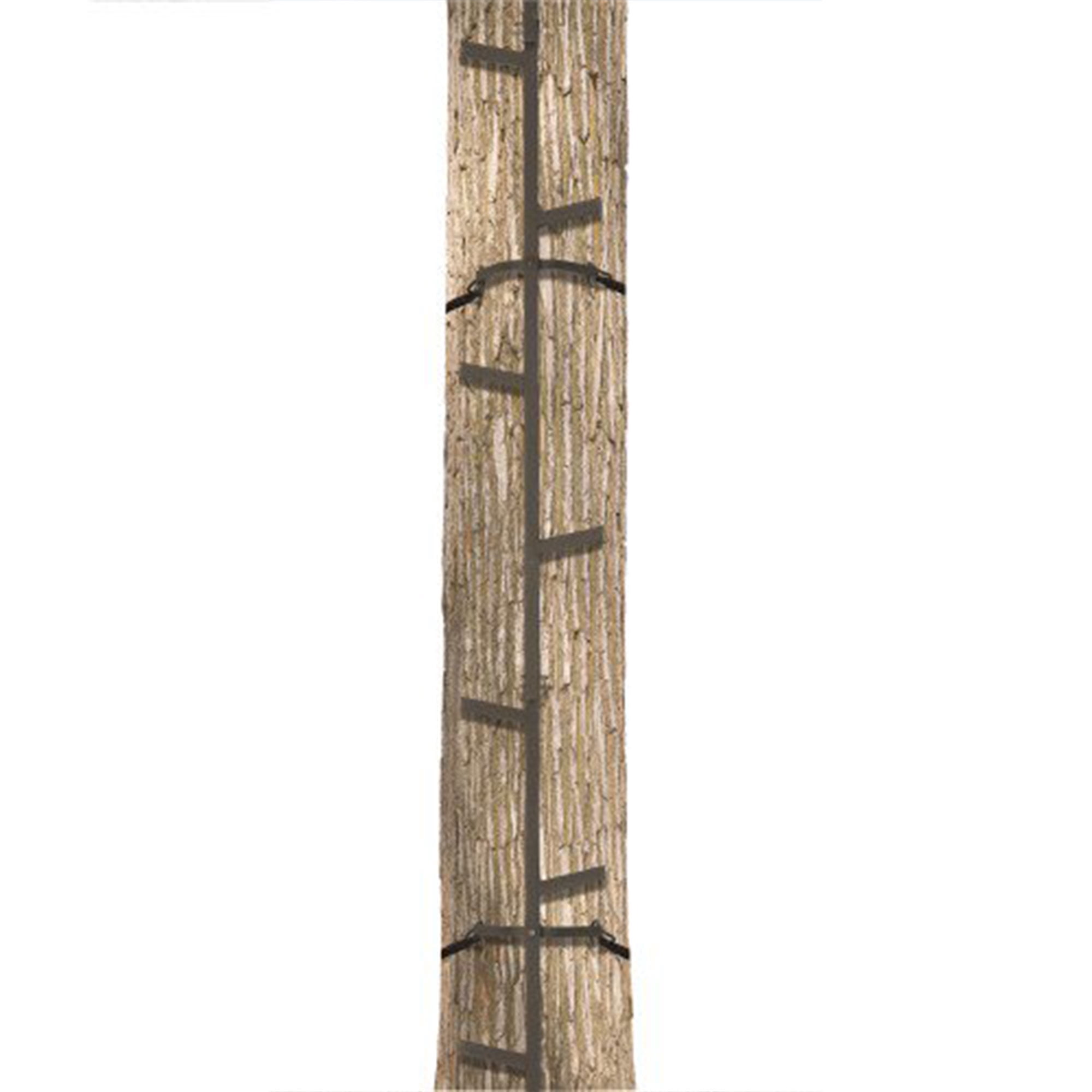 Big Game Quick-Stick Whitetail Deer Elk Mule Above Hunting Outdoors Slip Resistant Ladder Style Sections Climbing System
