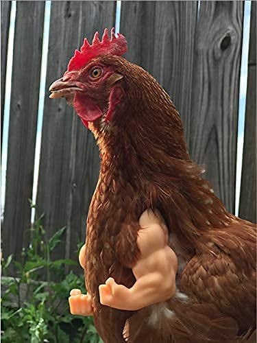 ArmedPet Fist Chicken 1Pcs Baby Chicken Fist Chicken Strong Chicken Arms  Made in Texas USA Meme Fighting 3D Printed Doll Hands Muscle Arms 
