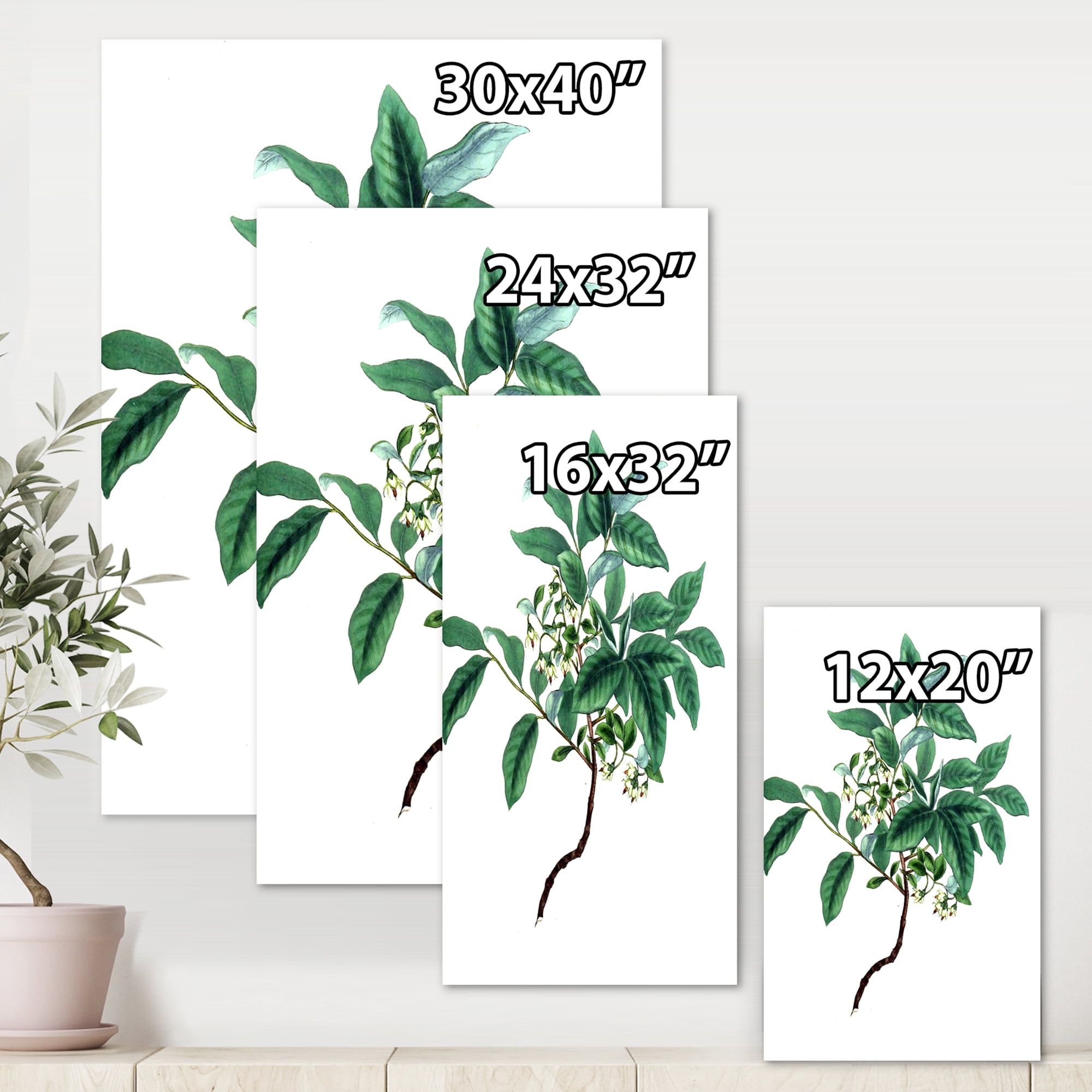 Designart ' Ancient Green Leaves Plants IV ' Traditional Canvas Wall Art Print