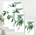thumbnail image 4 of Designart ' Ancient Green Leaves Plants IV ' Traditional Canvas Wall Art Print, 4 of 4