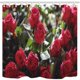thumbnail image 1 of ABPHQTO Cortina de ducha de baño de tela de poliéster con rosas brillantes y decoración del día de San Valentín 160x180 cm, 1 of 1