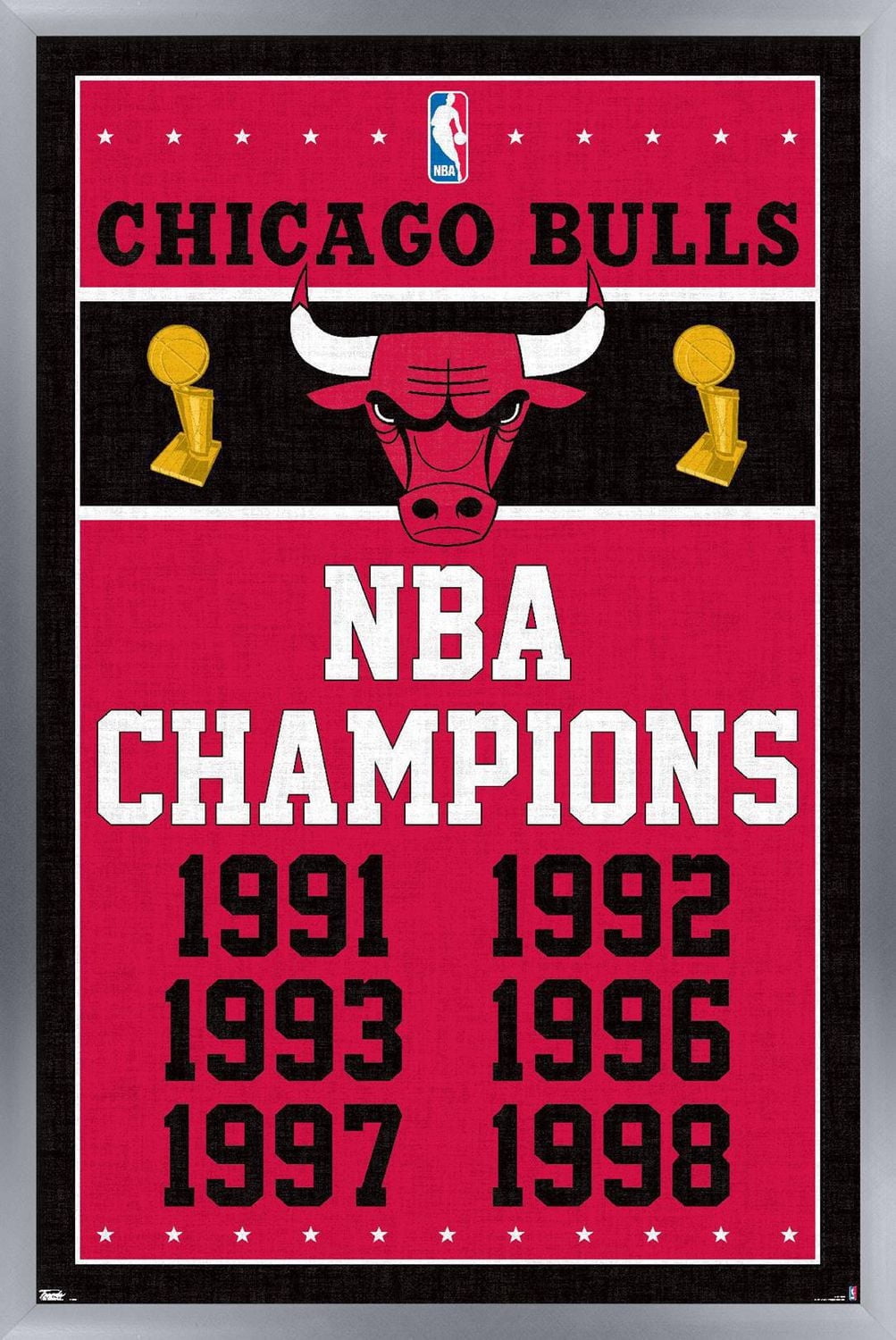 NBA Chicago Bulls - Champions 13 Wall Poster, 14.725" x 22.375" Framed