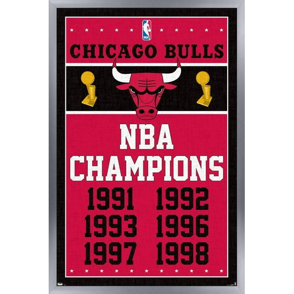 NBA Chicago Bulls - Champions 13
