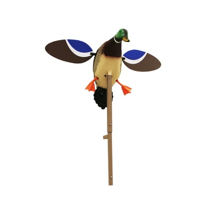 UPC: 0816740044019 | Mojo Outdoors  HW4401  Baby Drake Decoy  Waterfowl Decoy  3.5 Pounds Assembled