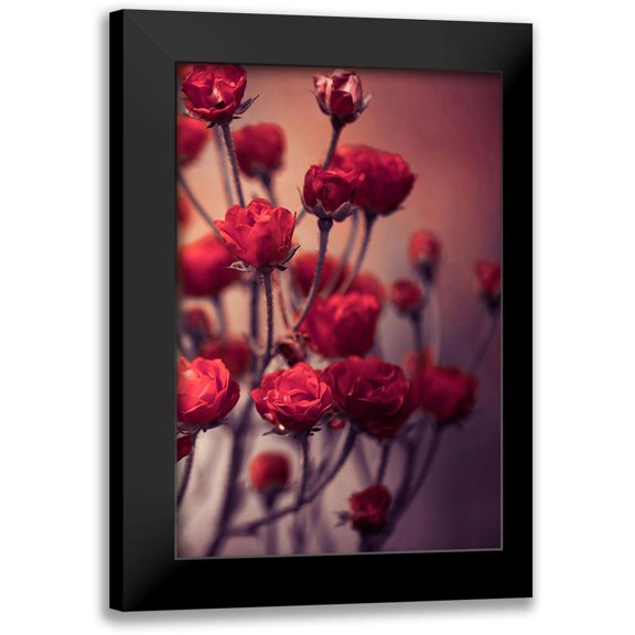 Incado 11x14 Black Modern Framed Museum Art Print Titled - Red Flowers