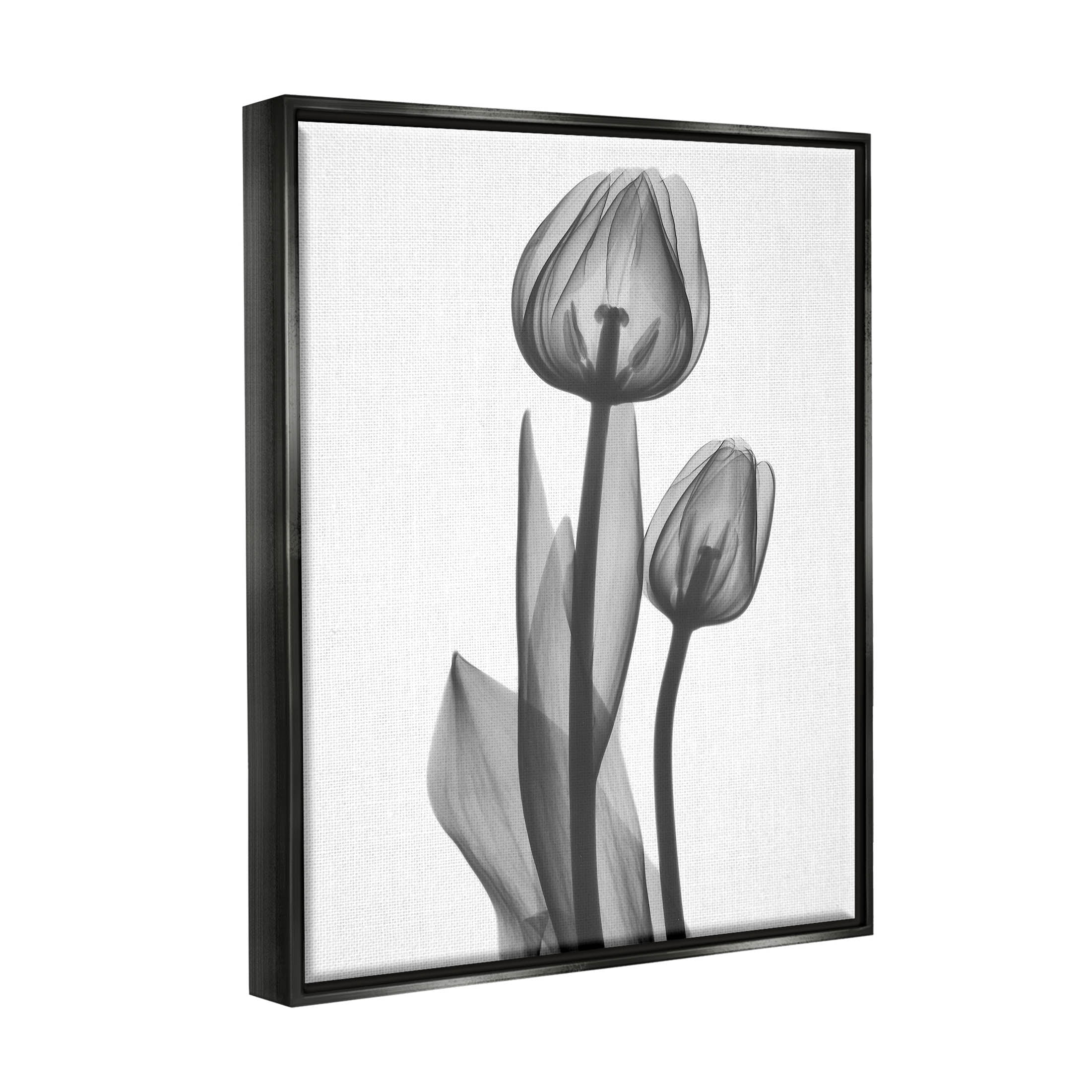 Stupell Industries Contemporary Transparent Tulip Graphic Art Jet Black Floating Framed Canvas Print Wall Art, Design by Albert Koetsier
