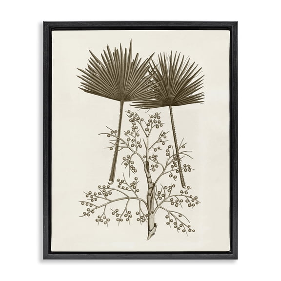 Stupell Industries Victorian Palm Leaf & Olive Branches Black Floating Frame Canvas Art, 17 x 21, by Phillipa Katz
