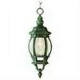 thumbnail image 2 of Trans Globe Lighting 4065 WH 1 Light Down Lighting Small Outdoor Pendant From The Outdoor, 2 of 2