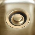 SEXAGESIMO Garbage Disposal Flange and Stopper Kitchen Sink Drain