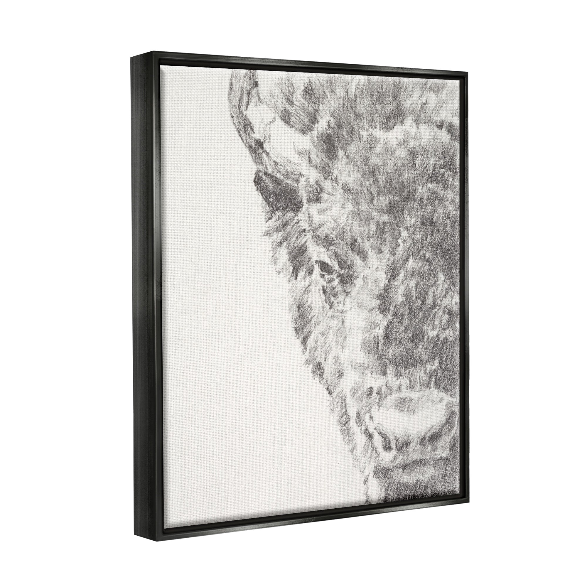 Stupell Industries Detailed Graphite Bison Rural Farm Animal Drawing Drawing Print Jet Black Floating Framed Canvas Print Wall Art, Design by Ethan Harper