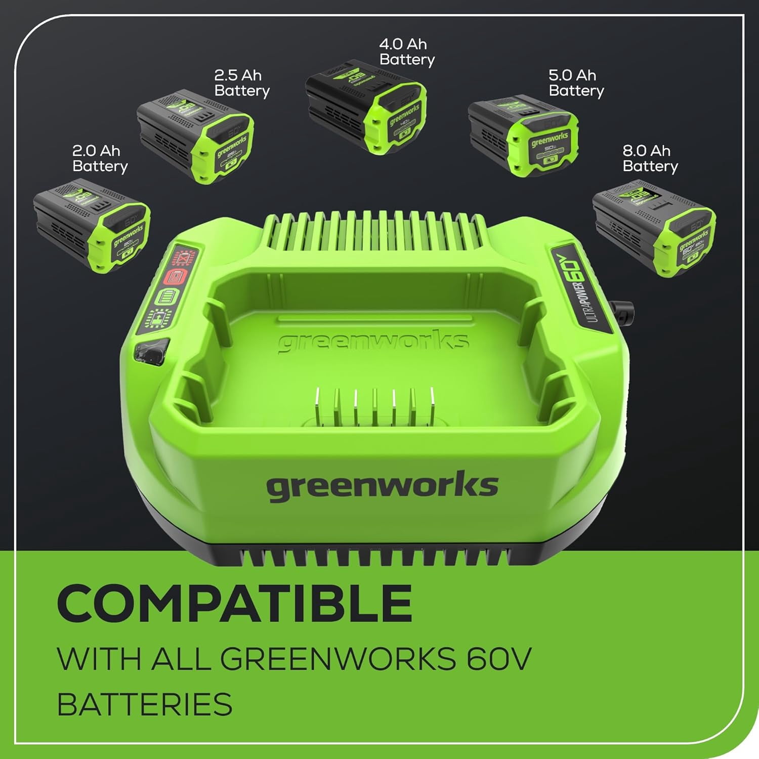 Greenworks PRO 60-Volt Standard Battery Charger CAC801 - Walmart.com