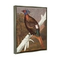 thumbnail image 3 of Stupell Industries Floral Patterned Pheasant Animals & Insects Painting Gray Floater Framed Art Print Wall Art, 17 x 21, 3 of 9